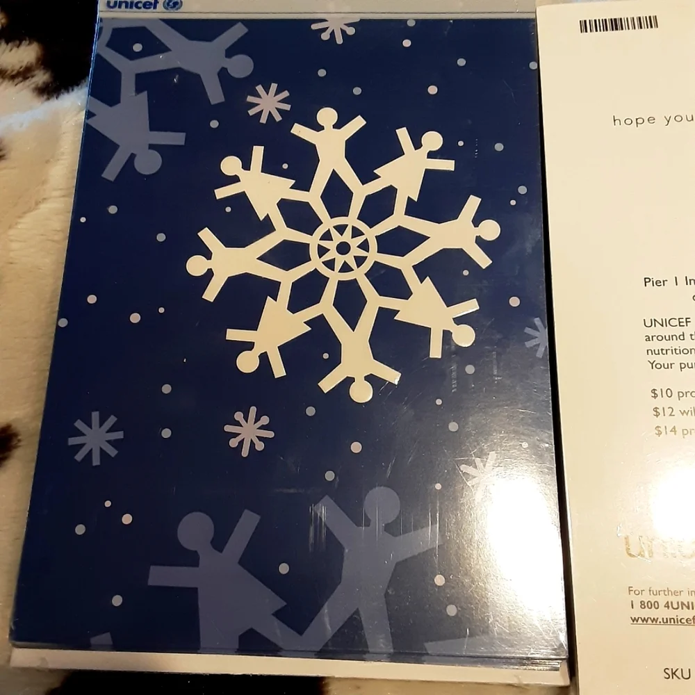 Set of 2 pier 1 Imports Christmas Cards